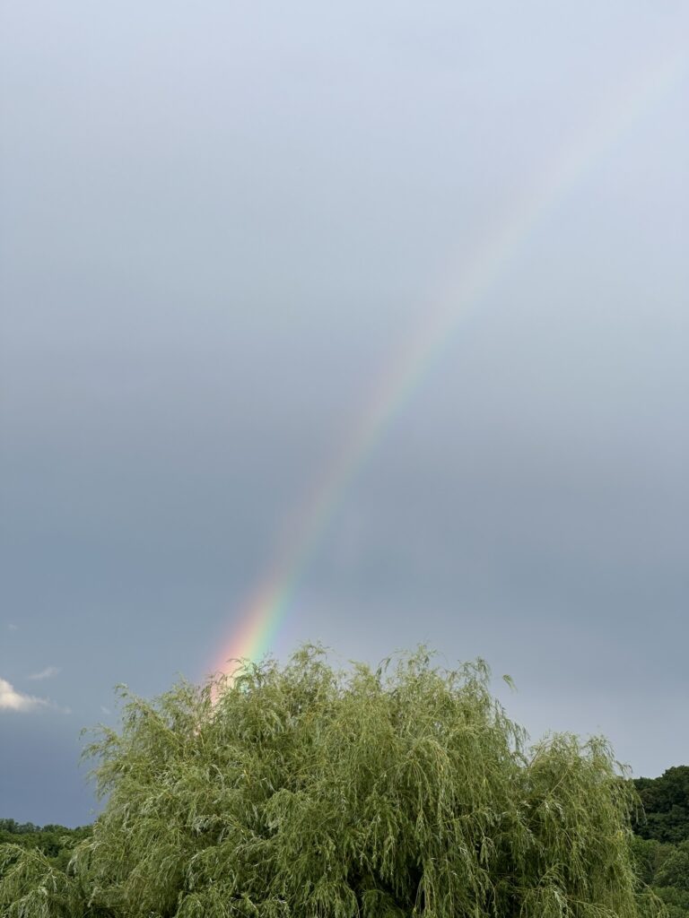 rainbow in the sky